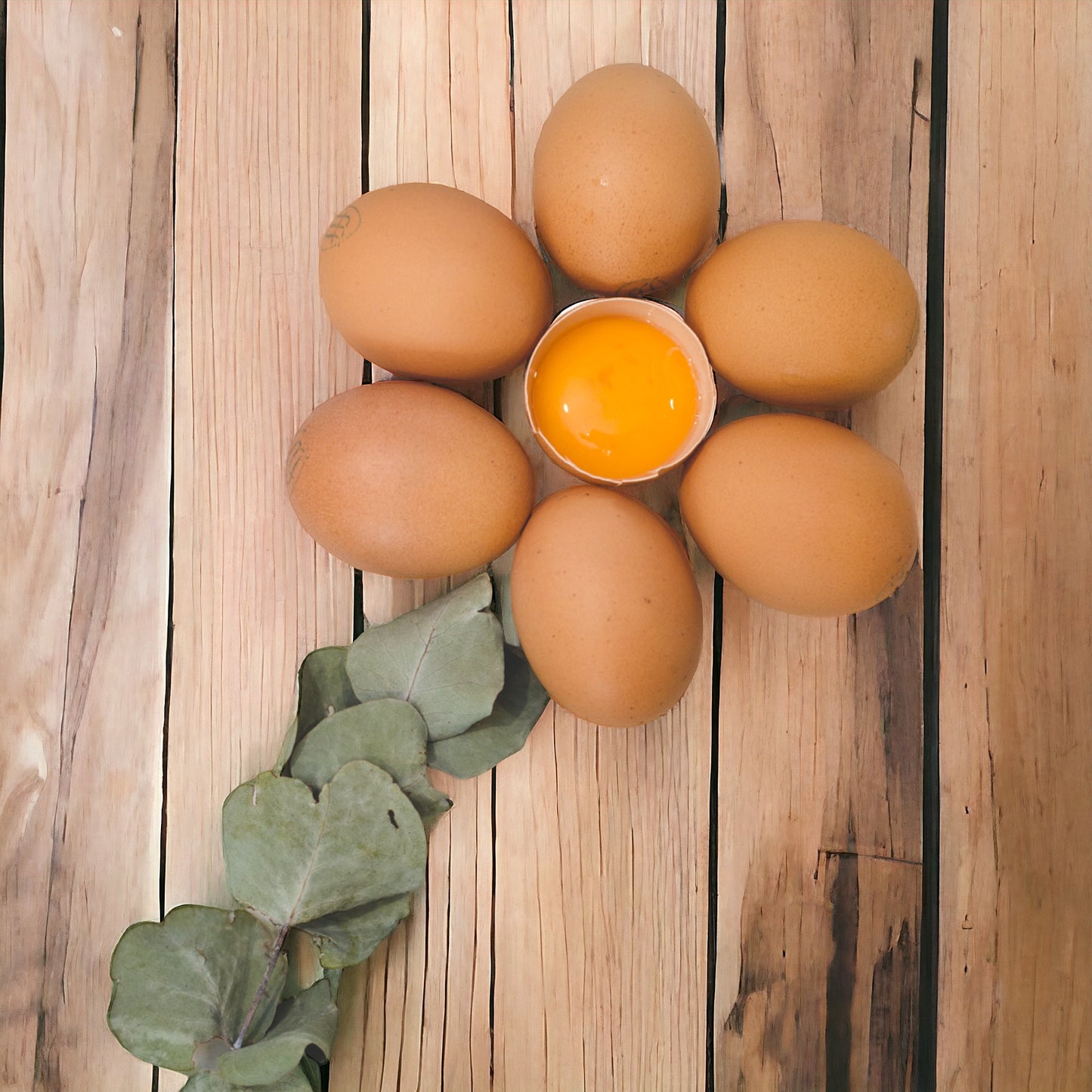 Olliff farm - 20 x Fresh Premium Pasture Eggs.