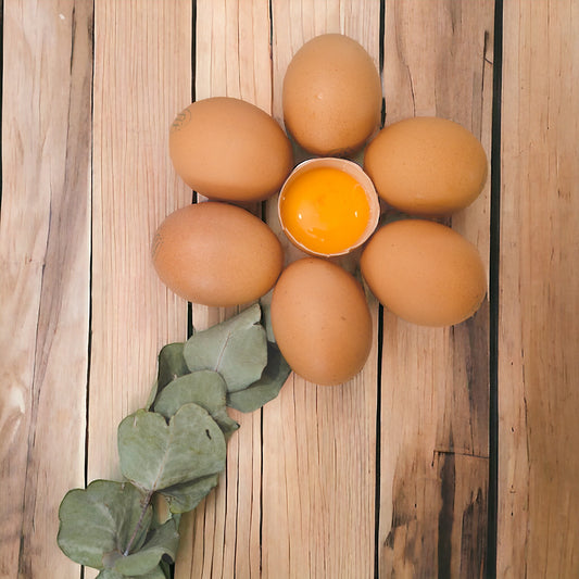 Olliff farm - 20 x Fresh Premium Pasture Eggs.