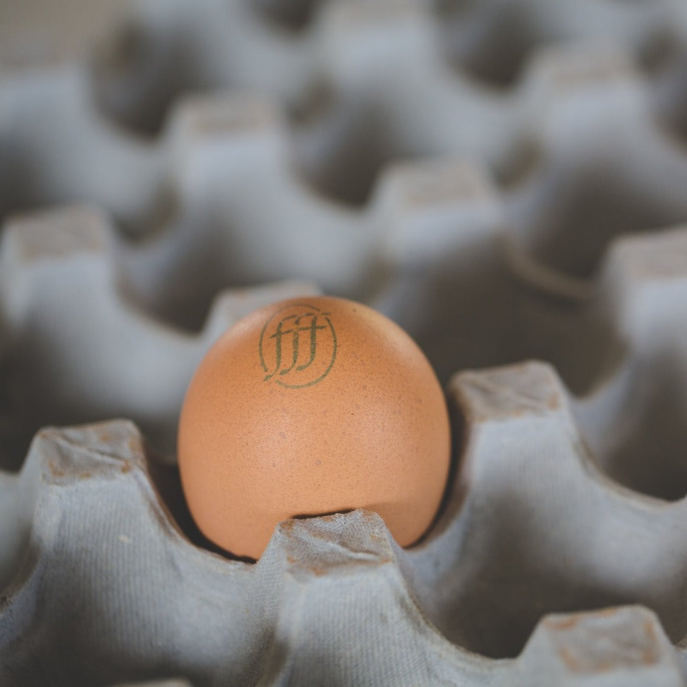 Olliff Farm - 12 x Fresh Premium Pasture Eggs.